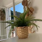 Penthouse With A Sea View In דירה אלסיו