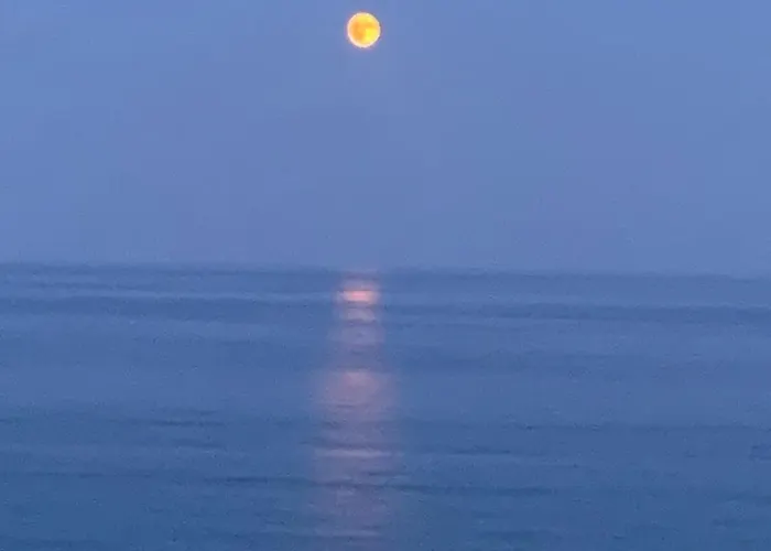 Penthouse With A Sea View In Alassio