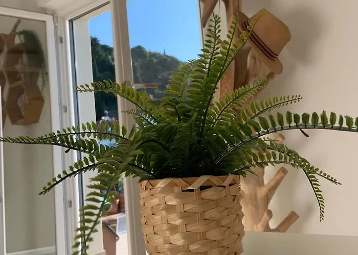 Penthouse With A Sea View In Lägenhet Alassio