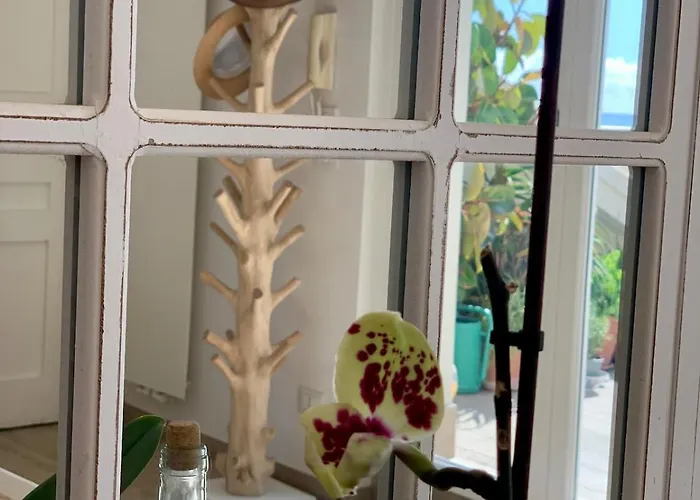 Penthouse With A Sea View In Lägenhet Alassio